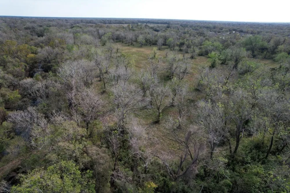 Hwy 35 E Van Vleck, TX 77482