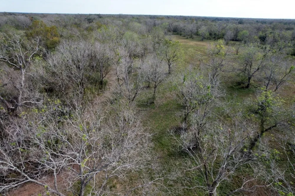 Hwy 35 E Van Vleck, TX 77482