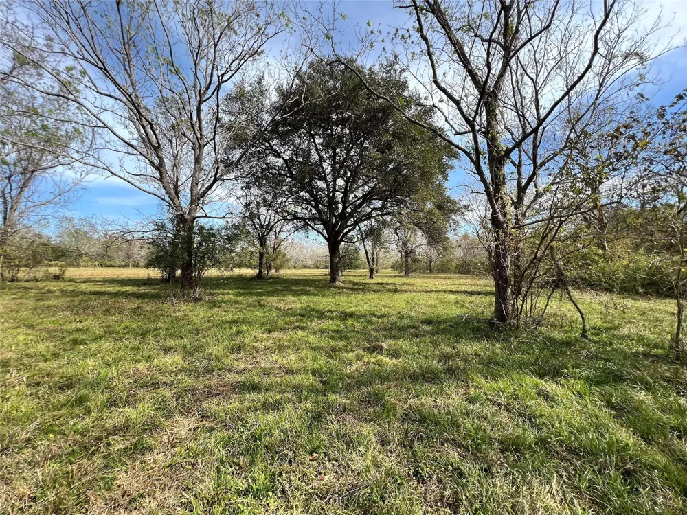 Hwy 35 E Van Vleck, TX 77482