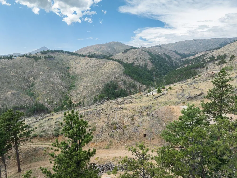 6319 Sunshine Canyon Drive Boulder, CO 80302