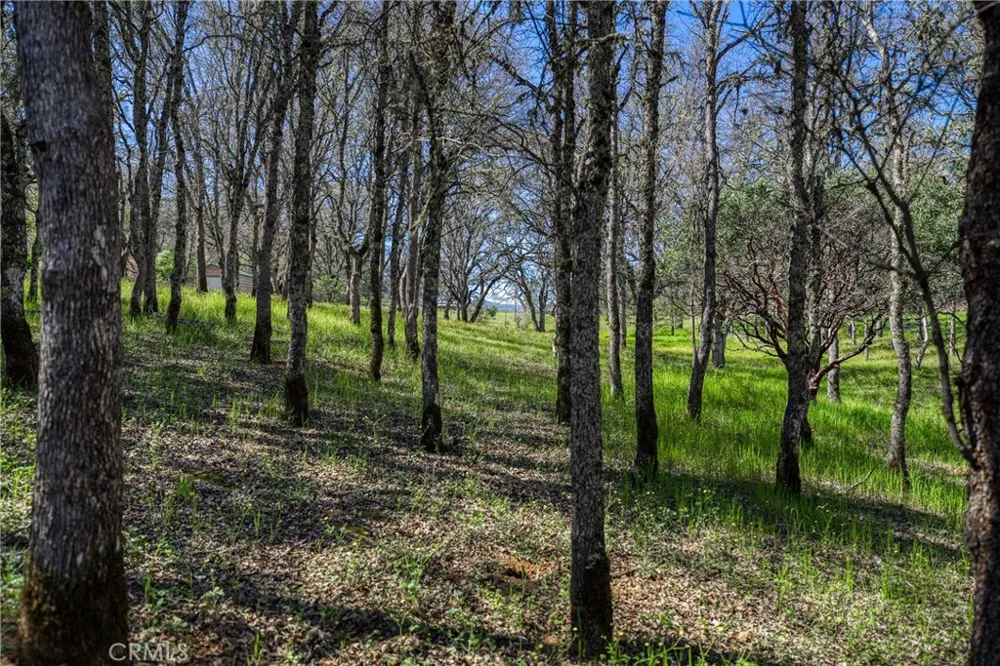 1001 Louis Way Lakeport, CA 95453