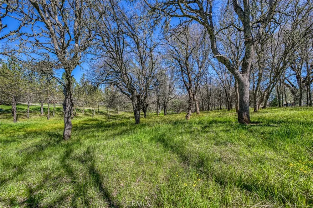 1001 Louis Way Lakeport, CA 95453