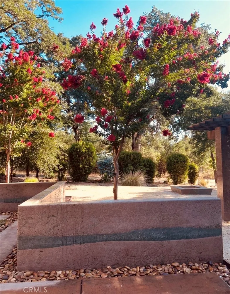 1001 Louis Way Lakeport, CA 95453