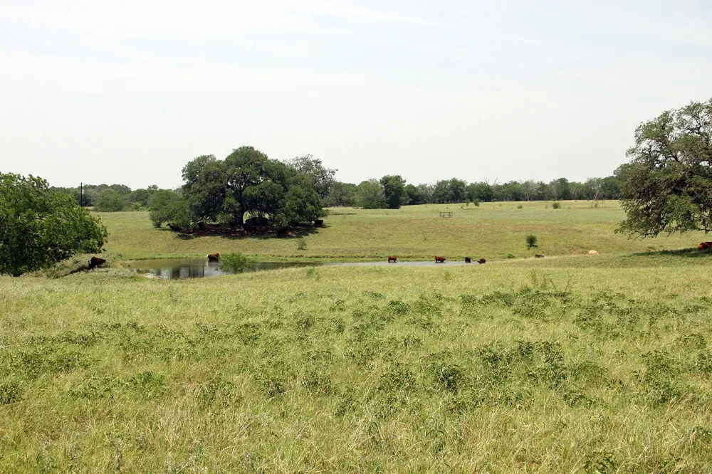 319 R C LANE Lockhart, TX 78644