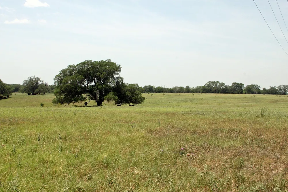 319 R C LANE Lockhart, TX 78644