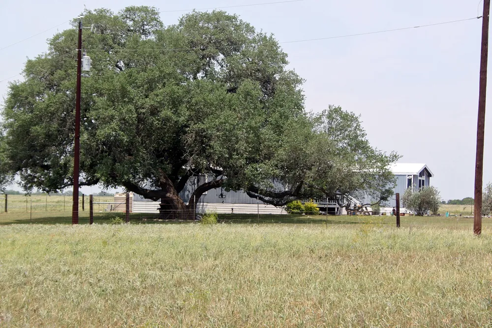 319 R C LANE Lockhart, TX 78644