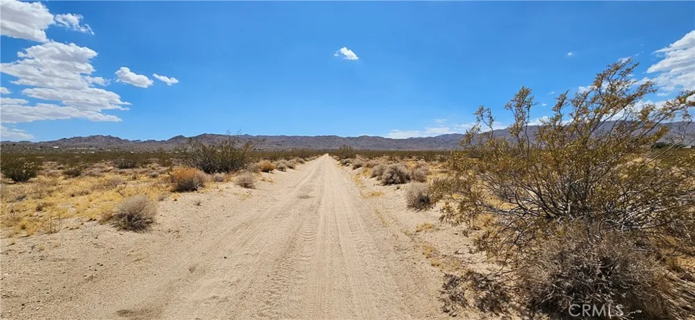 800 Firethorn Way (NEAR) Johnson Valley, CA 92285