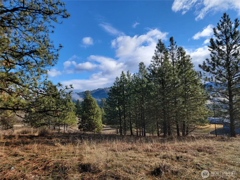 999 Lot 22 Stabenfeldt Drive Republic, WA 99166