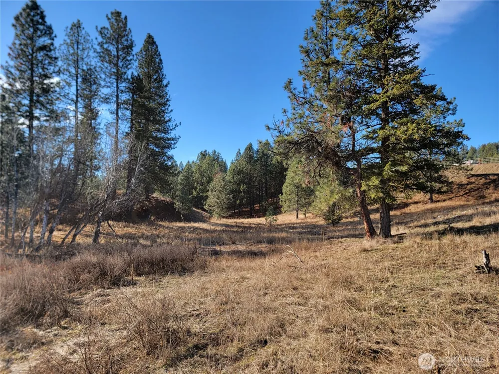 999 Lot 22 Stabenfeldt Drive Republic, WA 99166