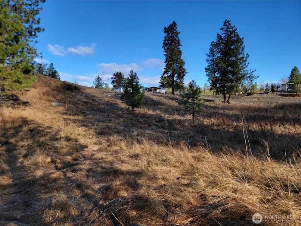 999 Lot 22 Stabenfeldt Drive Republic, WA 99166