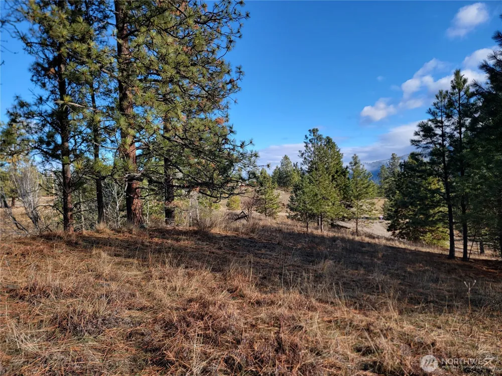 999 Lot 22 Stabenfeldt Drive Republic, WA 99166