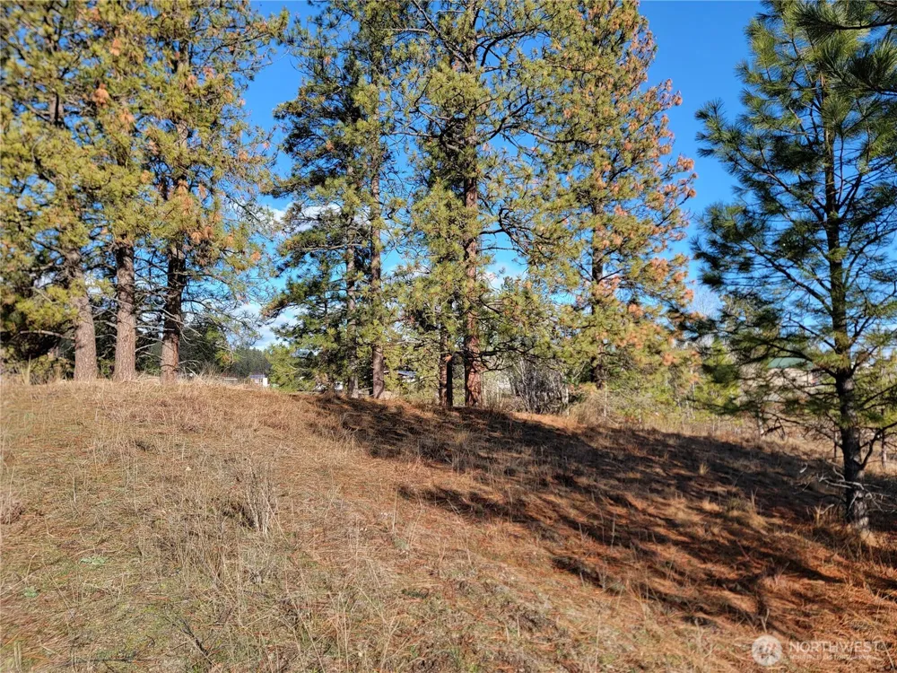 999 Lot 22 Stabenfeldt Drive Republic, WA 99166