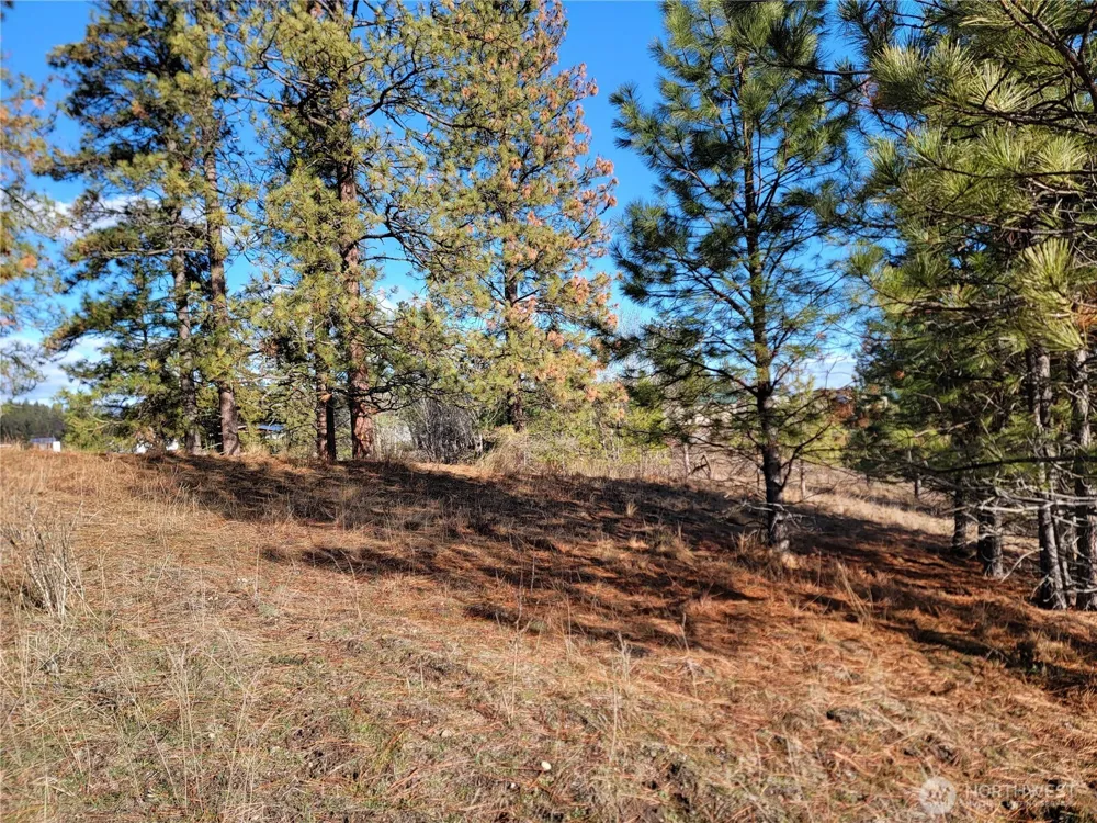 999 Lot 22 Stabenfeldt Drive Republic, WA 99166