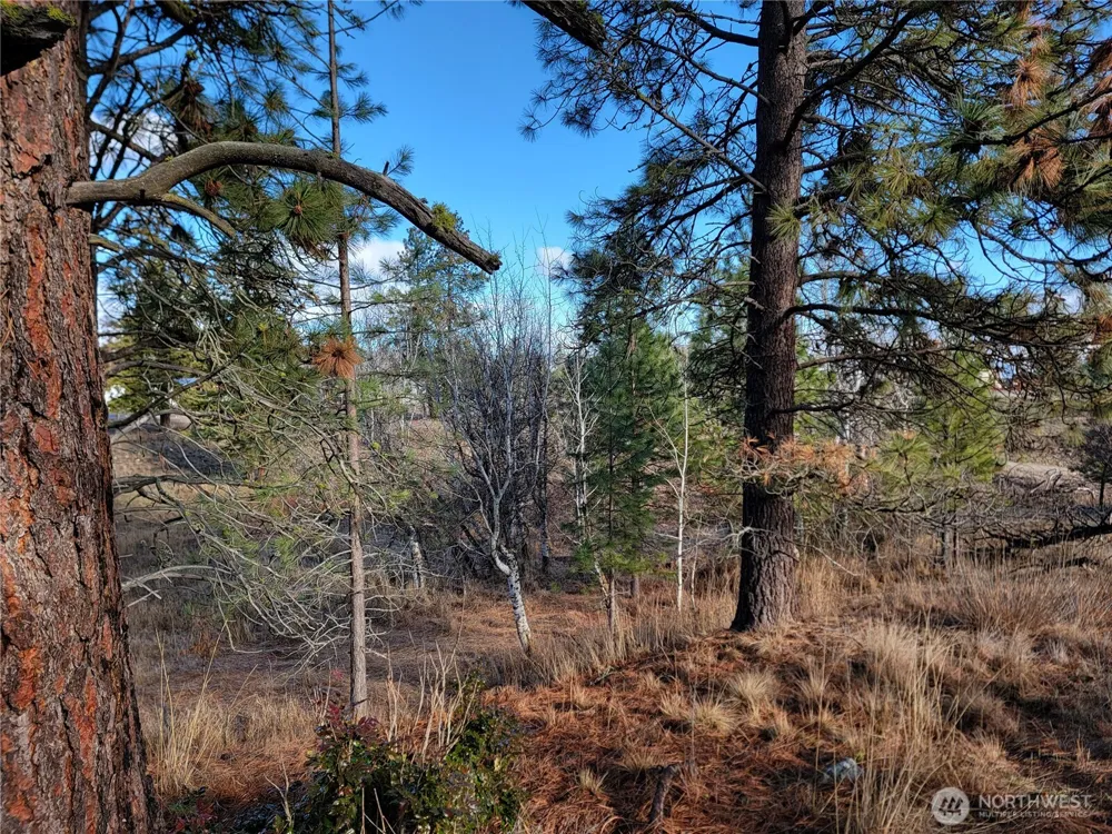 999 Lot 22 Stabenfeldt Drive Republic, WA 99166