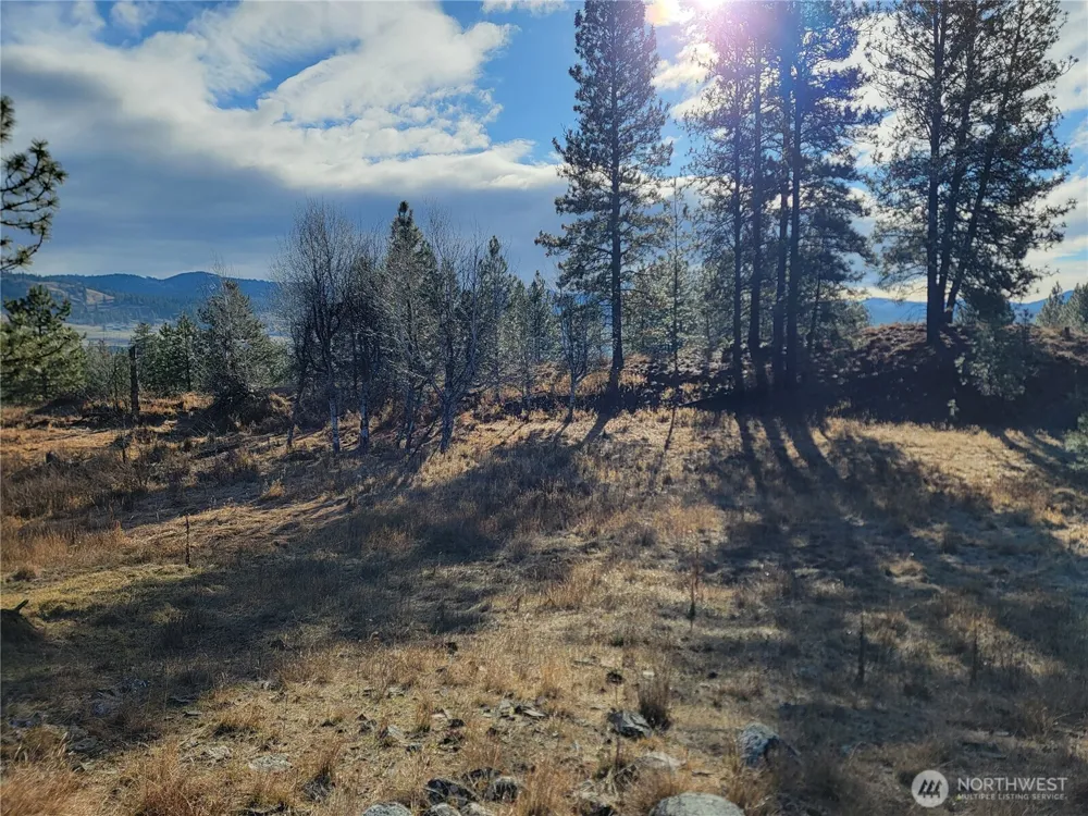 999 Lot 22 Stabenfeldt Drive Republic, WA 99166