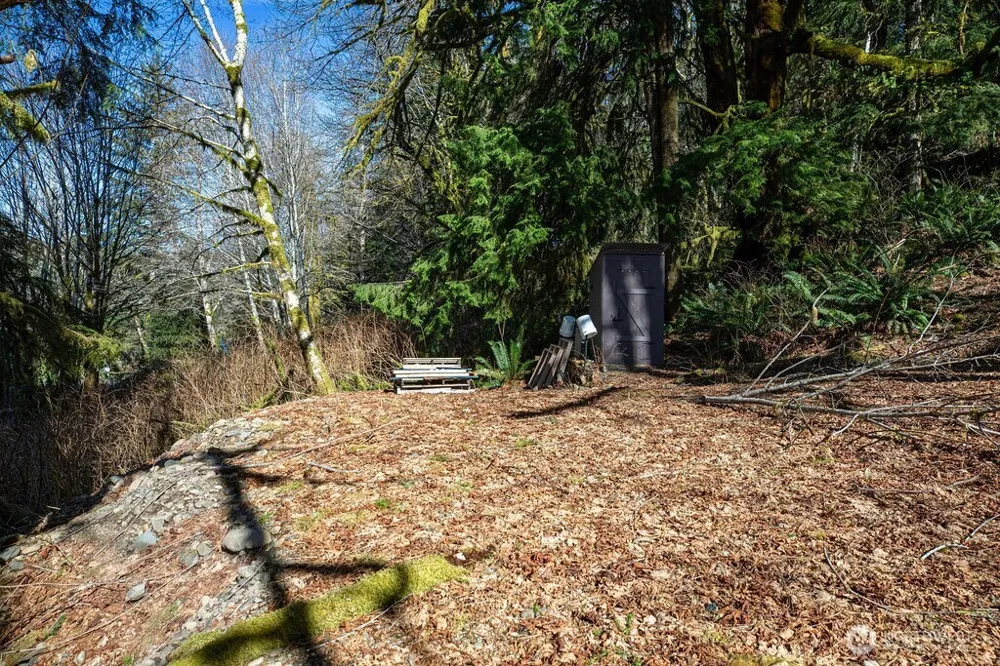 1185 E Lake Pleasant Road Beaver, WA 98305