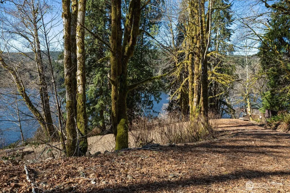 1185 E Lake Pleasant Road Beaver, WA 98305