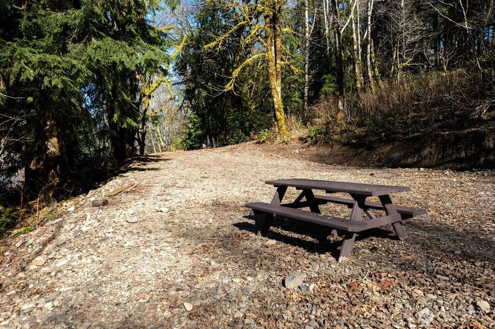 1185 E Lake Pleasant Road Beaver, WA 98305