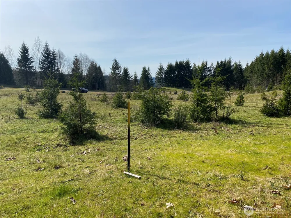 0 Lot 2 250th Avenue E Orting, WA 98360