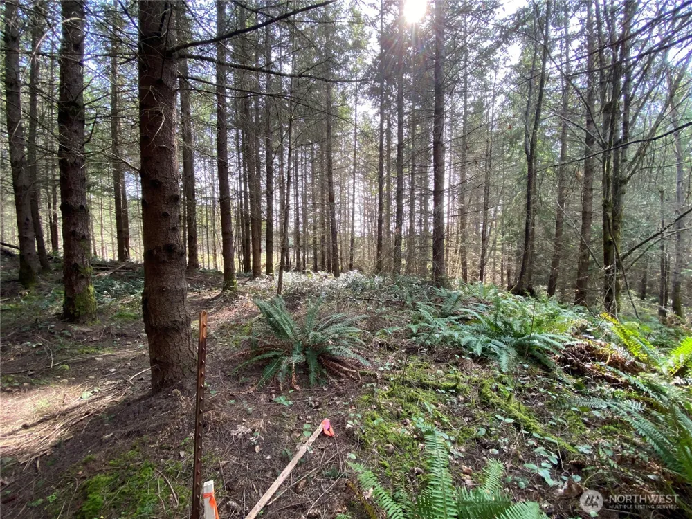 0 Lot 2 250th Avenue E Orting, WA 98360