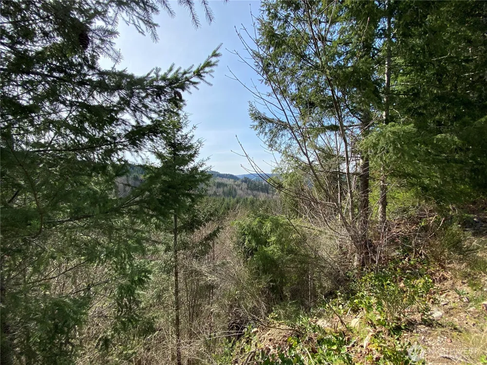 0 Lot 2 250th Avenue E Orting, WA 98360
