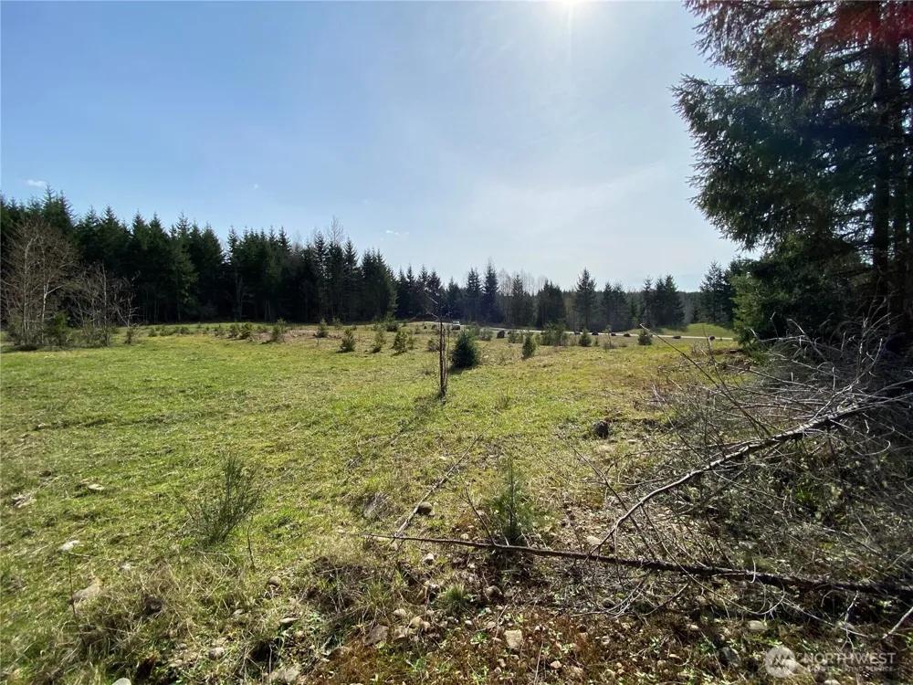 0 Lot 2 250th Avenue E Orting, WA 98360