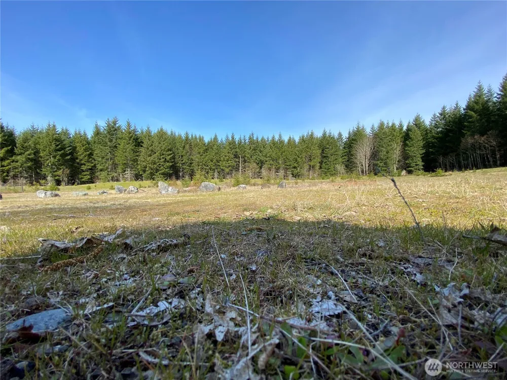 0 Lot 2 250th Avenue E Orting, WA 98360