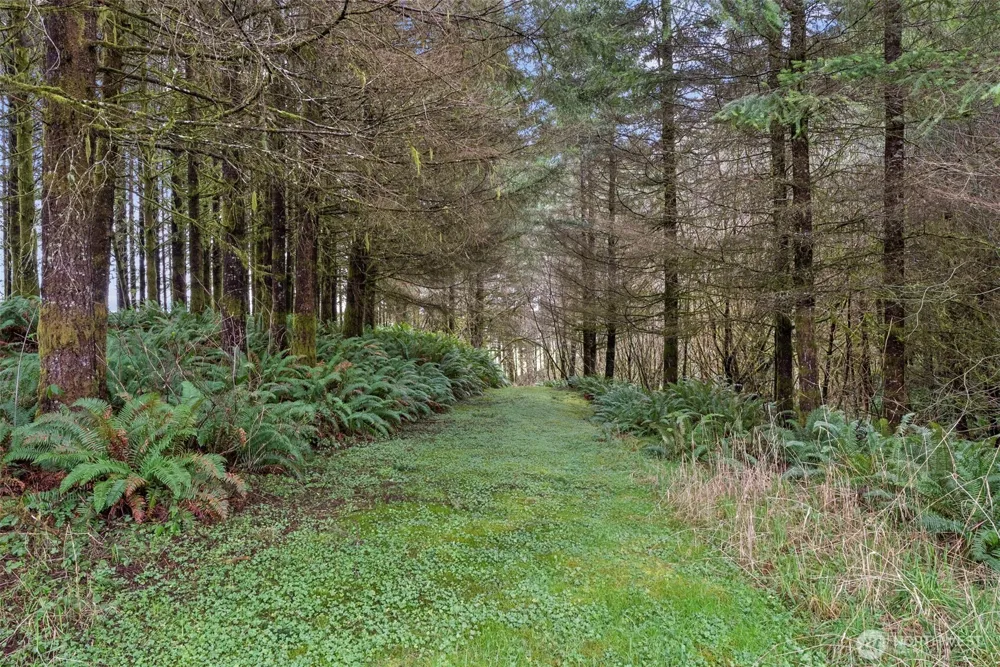 570 Wynooche Valley Road Montesano, WA 98563