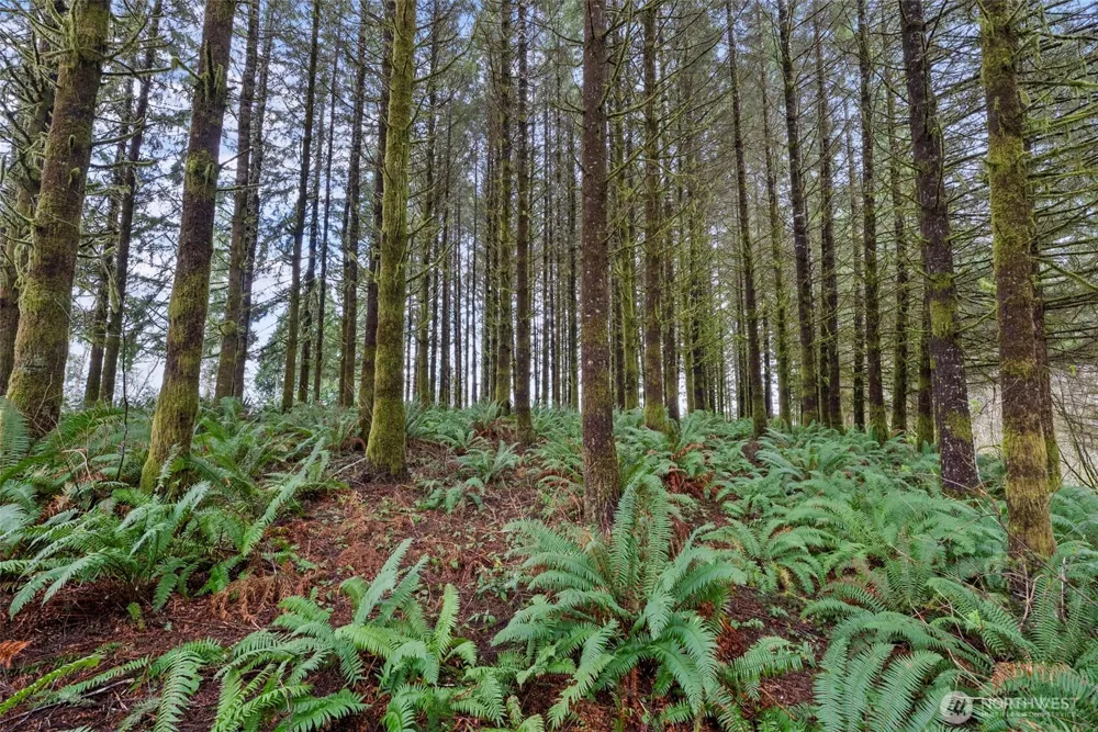 570 Wynooche Valley Road Montesano, WA 98563