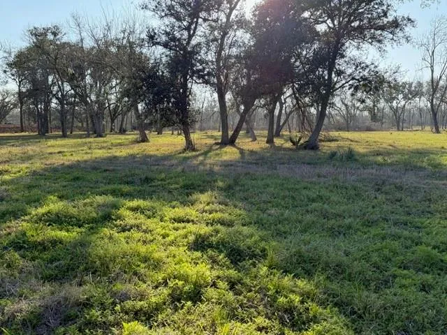 31810 Amberjack Drive Richwood, TX 77515