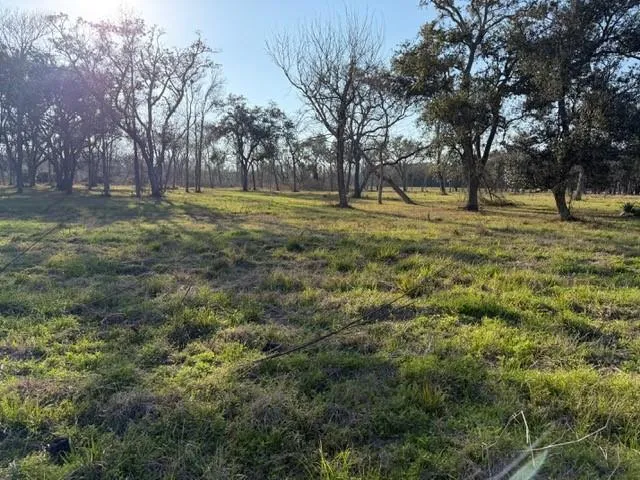 31810 Amberjack Drive Richwood, TX 77515