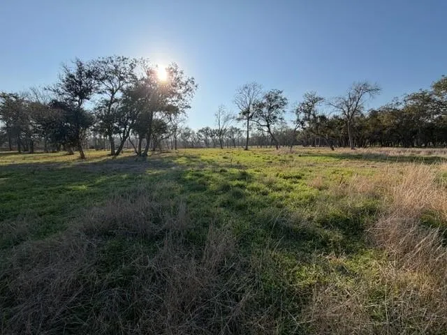 31810 Amberjack Drive Richwood, TX 77515