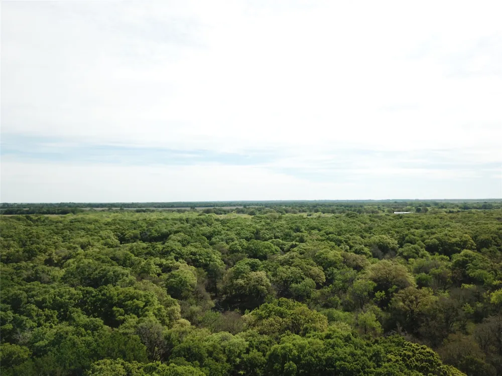 375 Lcr 358 Mart, TX 76664