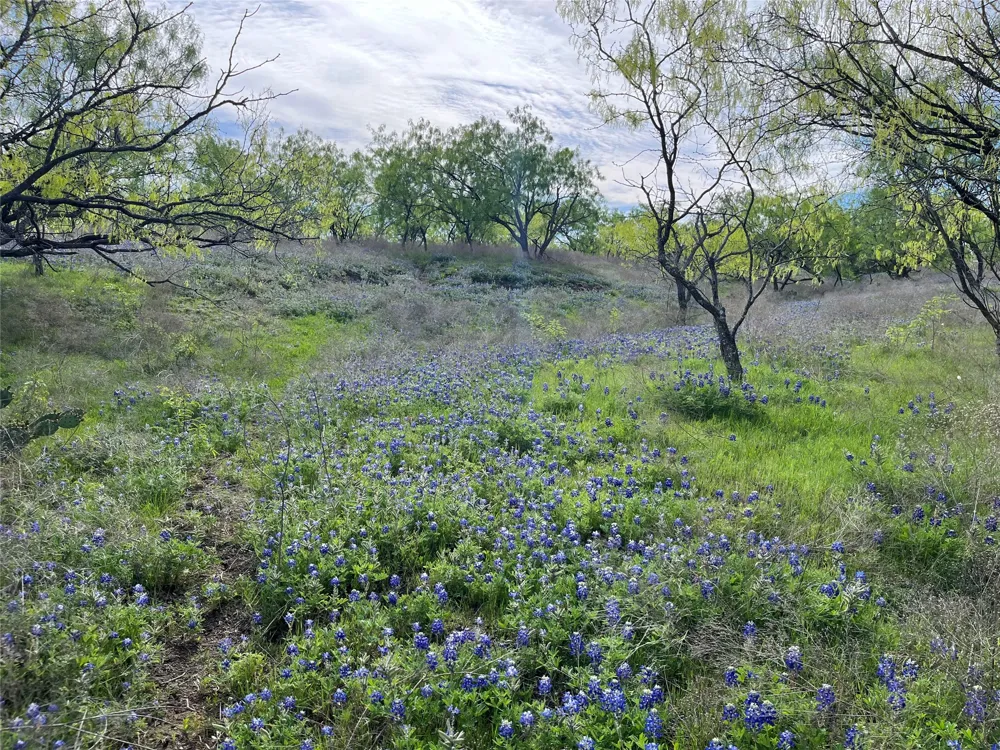 375 Lcr 358 Mart, TX 76664