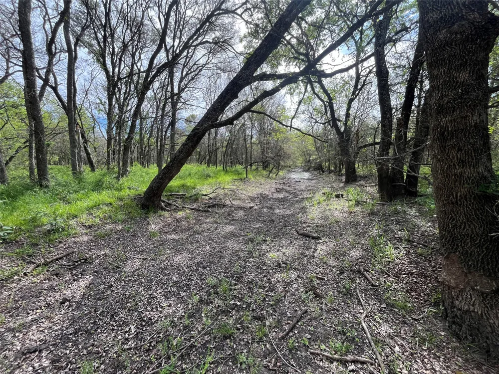 375 Lcr 358 Mart, TX 76664