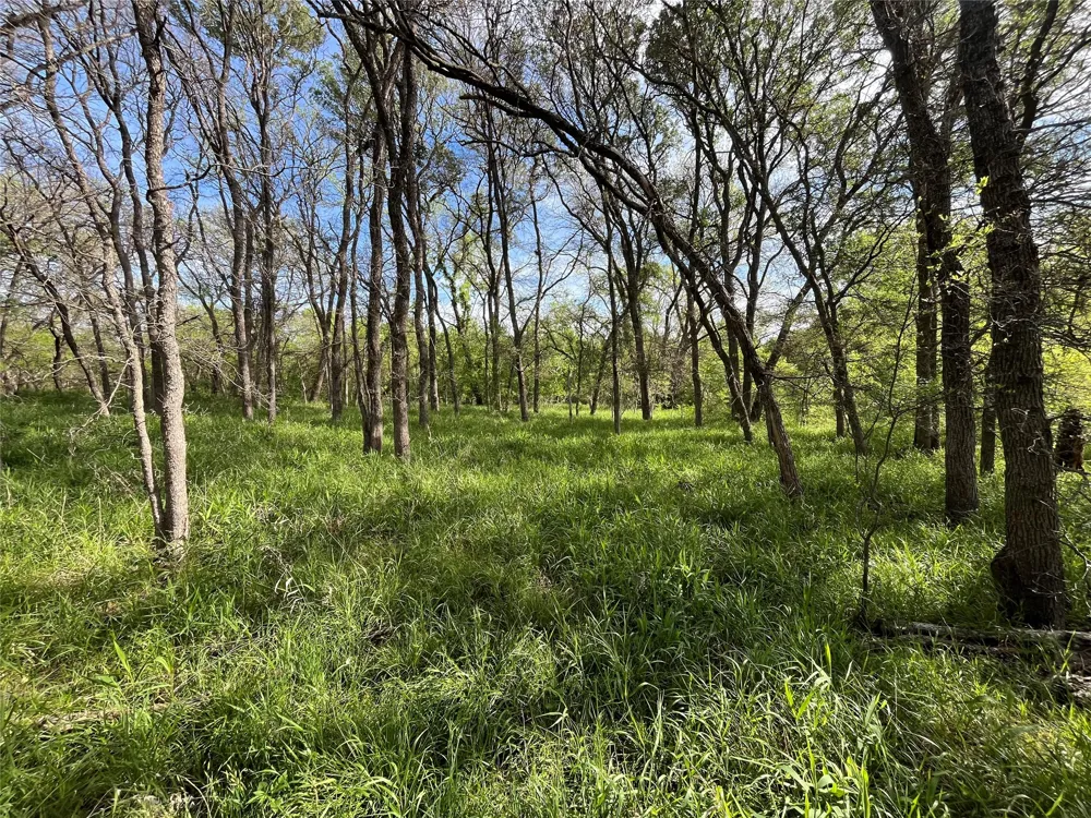 375 Lcr 358 Mart, TX 76664