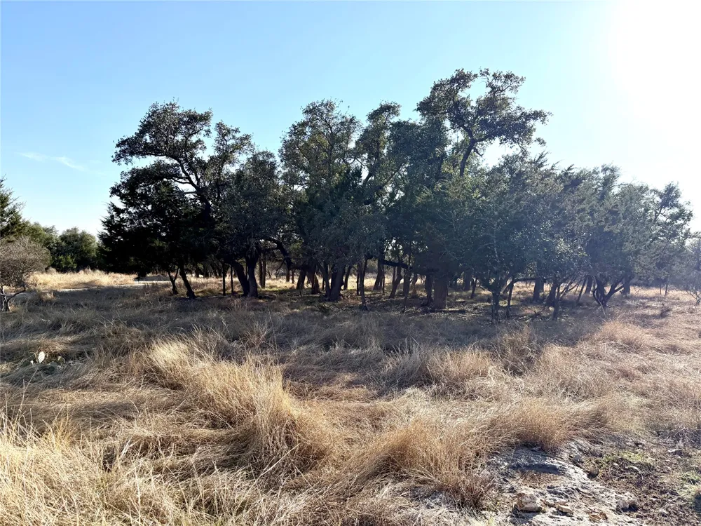 1358 County Road 233 Road Florence, TX 76527