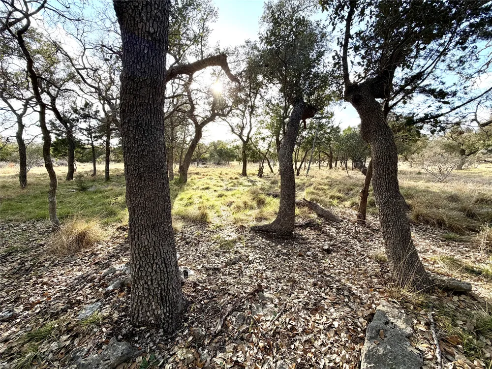 1358 County Road 233 Road Florence, TX 76527