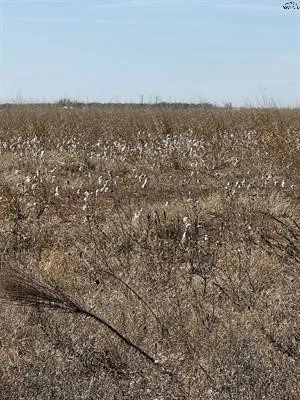 CR 168 Haskell, TX 75921