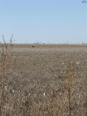 CR 168 Haskell, TX 75921