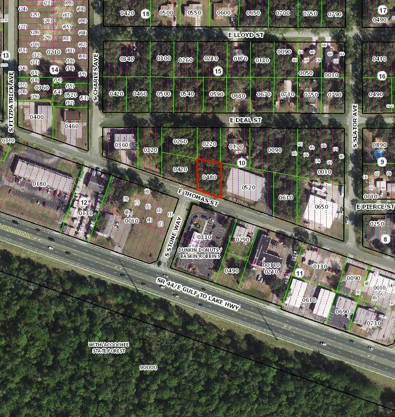 3081 E THOMAS STREET Inverness, FL 34453