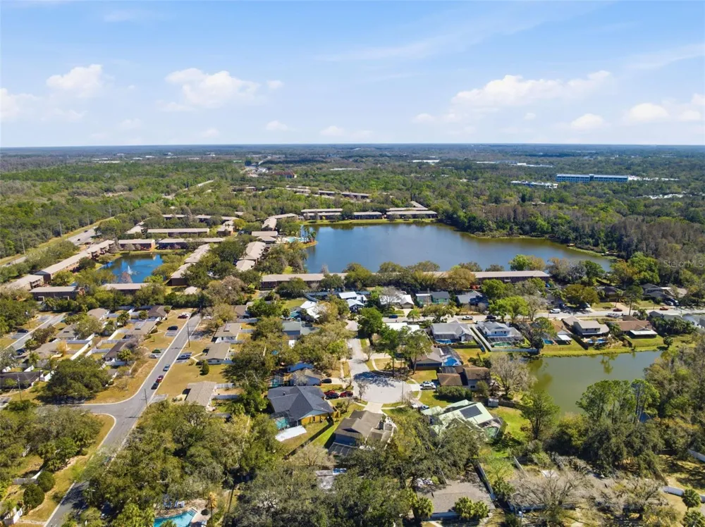 12935 RAIN FOREST STREET Temple Terrace, FL 33617