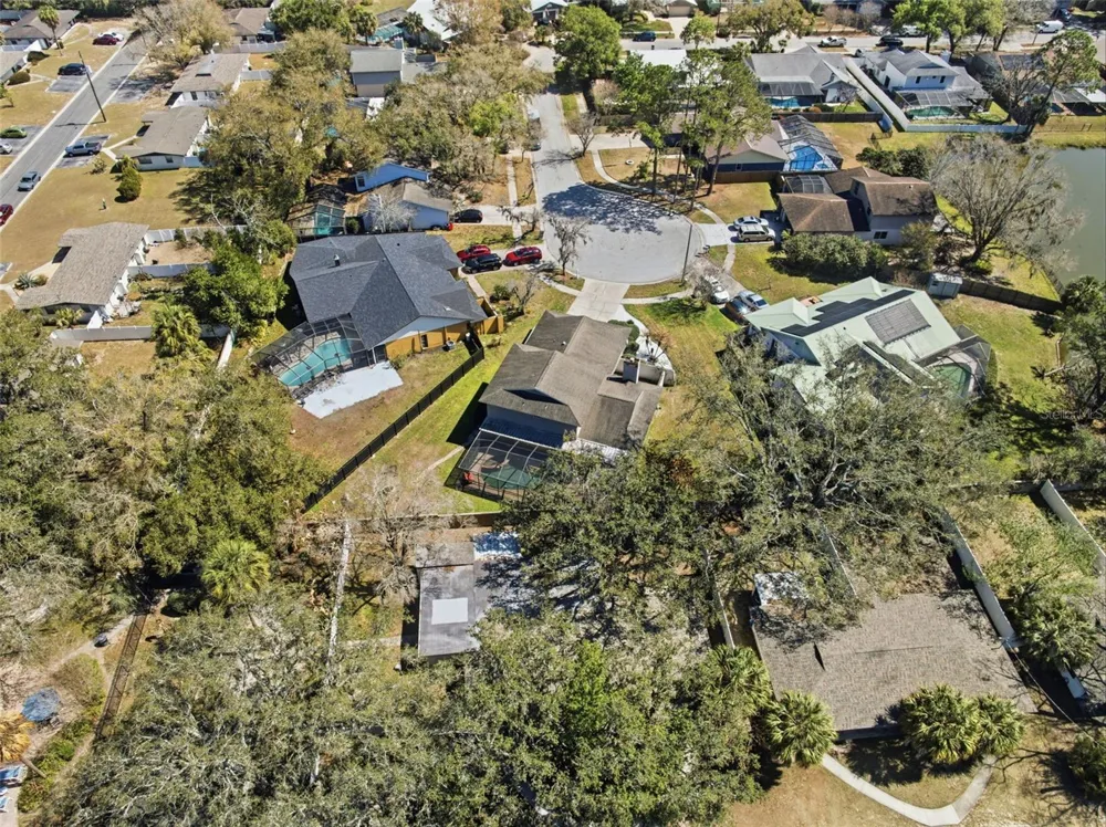 12935 RAIN FOREST STREET Temple Terrace, FL 33617