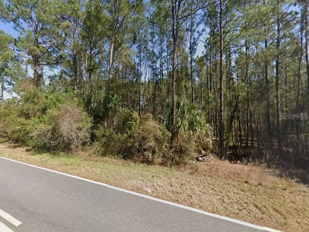 ROYAL TRAILS ROAD Eustis, FL 32736