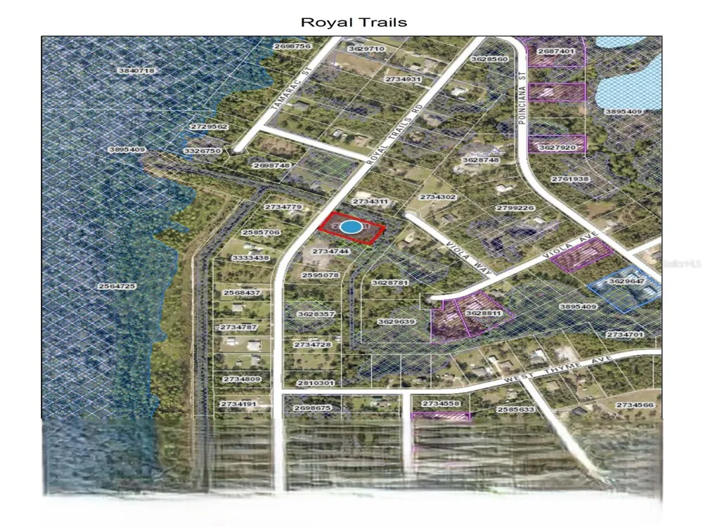 ROYAL TRAILS ROAD Eustis, FL 32736