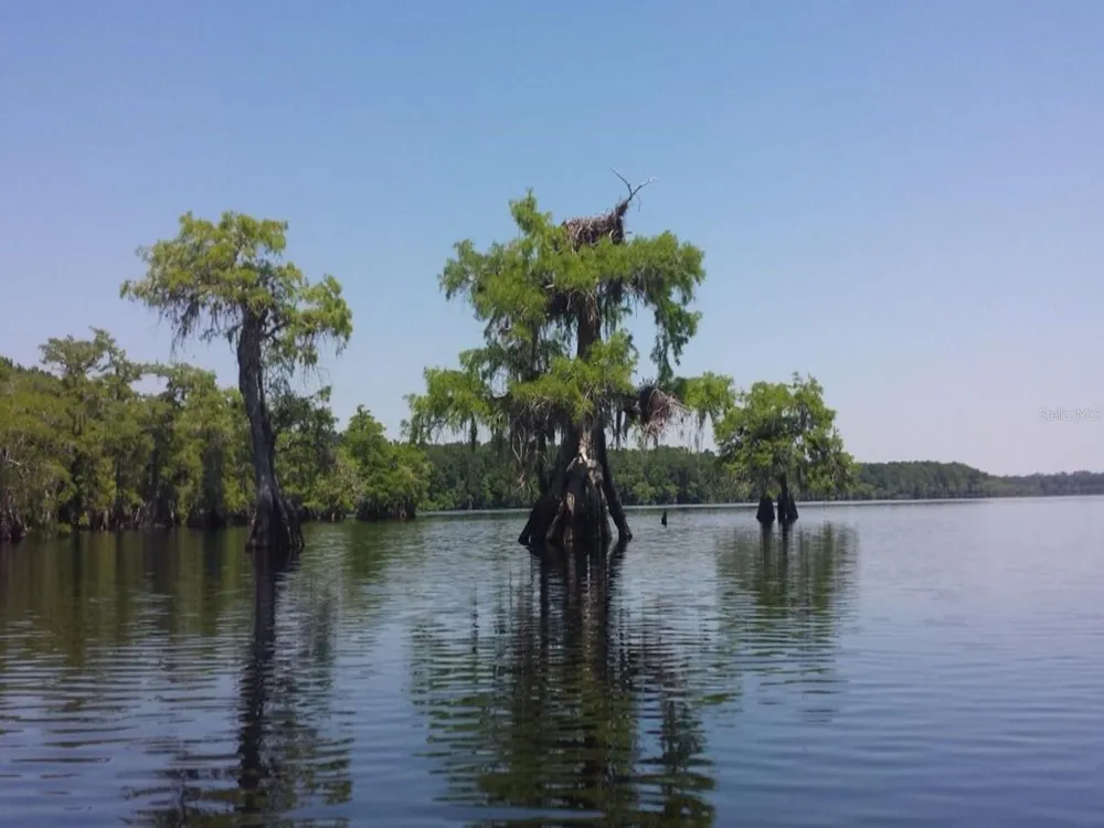 ROYAL TRAILS ROAD Eustis, FL 32736
