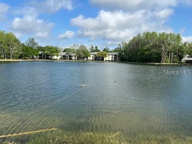 3232 LAKE PINE WAY E #C1 Tarpon Springs, FL 34688