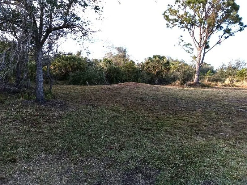 27498 NEAPTIDE DRIVE Punta Gorda, FL 33983