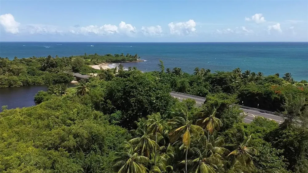 14 VIA CANGREJOS Toa Baja, PR 00949