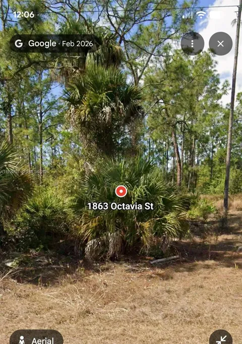 1863 octavia st